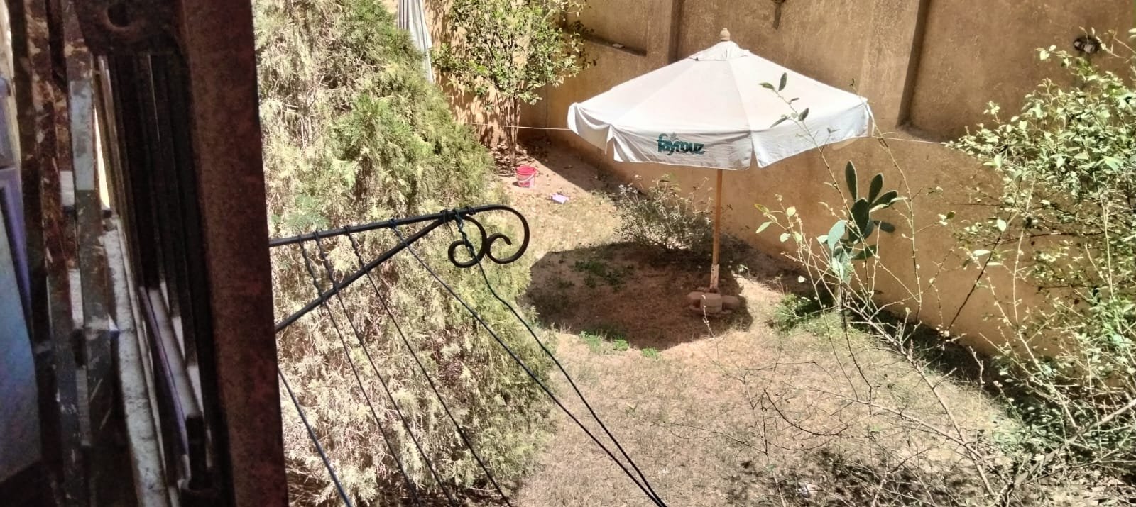 مصغر