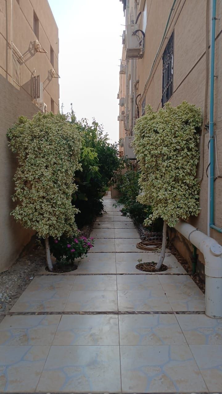 مصغر